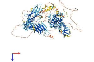 SH3BP4 Protein (AA 1-963) (His tag)