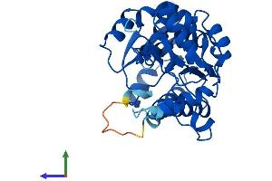 AlphaFold protein structure predicition of Mouse Recombinant Nmral1 Protein, UniprotID Q8K2T1