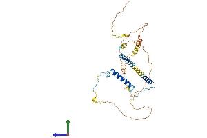 Protein Structure (PS) image for arginine/serine-Rich Coiled-Coil 1 (RSRC1) (AA 1-334) protein (His tag) (ABIN7561304)