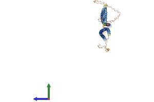 AlphaFold protein structure predicition of Human Recombinant KRT38 Protein, UniprotID O76015 (KRT38 Protein (AA 1-456) (His tag))