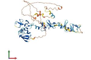 Protein Structure (PS) image for PDZ and LIM Domain 7 (Enigma) (PDLIM7) (AA 1-457) protein (His tag) (ABIN7557067)