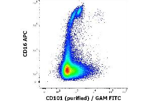 Flow cytometry multicolor surface staining of human lymphocytes stained using anti-human CD101 (BB27) purified antibody (concentration in sample 0,56 μg/mL, GAM FITC) and anti-human CD16 (3G8) APC antibody (10 μL reagent / 100 μL of peripheral whole blood). (CD101 Antikörper)