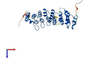 NFKBID Protein (AA 1-313) (His tag)