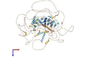 AlphaFold protein structure predicition of Mouse Recombinant Slf2 Protein, UniprotID Q6P9P0