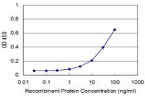 Detection limit for recombinant GST tagged RHOA is approximately 3ng/ml as a capture antibody. (RHOA Antikörper  (AA 1-193))