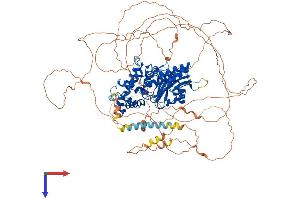 DENND1A Protein (AA 1-1016) (His tag)
