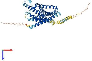 FPR1 Protein (AA 1-350) (His tag)