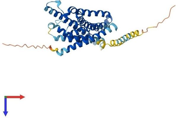FPR1 Protein (AA 1-350) (His tag)