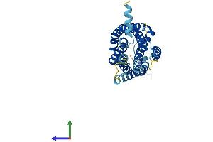 Protein Structure (PS) image for Cysteinyl Leukotriene Receptor 2 (CYSLTR2) (AA 1-309) protein (His tag) (ABIN7560169)