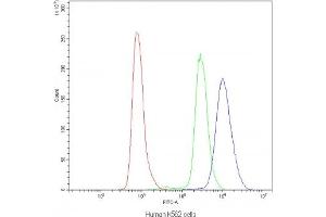 Flow Cytometry (FACS) image for anti-Nuclear Factor of Activated T-Cells, Cytoplasmic, Calcineurin-Dependent 3 (NFATC3) antibody (ABIN5647603)