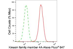 Flow cytometric analysis of kinesin family member 4A expression in HAP-1 cells using kinesin family member 4A antibody (ABIN7799207), 1:2,000). (Rekombinanter KIF4A Antikörper)