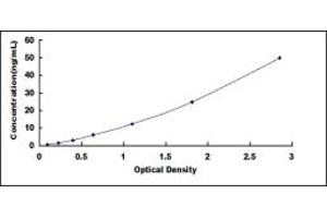 CHRNA5 ELISA Kit