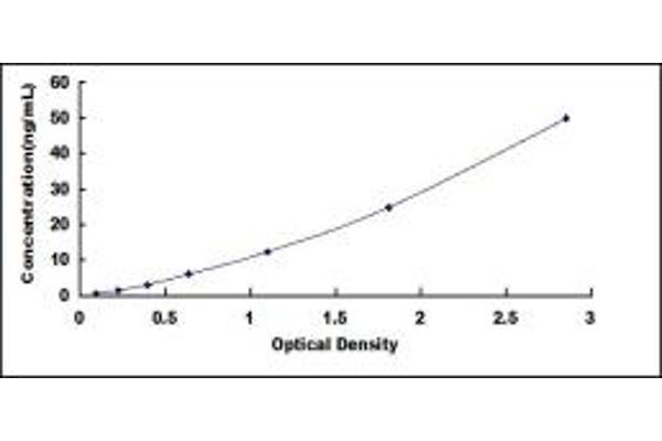 CHRNA5 ELISA Kit