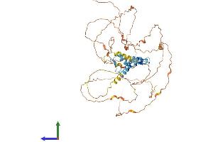 Protein Structure (PS) image for Early Growth Response 1 (EGR1) (AA 1-533) protein (His tag) (ABIN7562757)