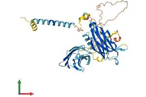 AlphaFold protein structure predicition of Human Recombinant SYT12 Protein, UniprotID Q8IV01