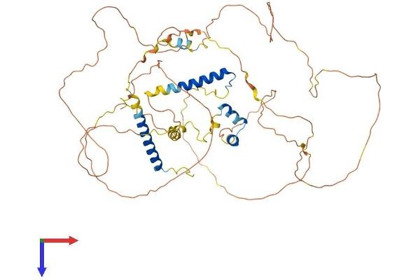 SLAIN2 Protein (AA 1-581) (His tag)
