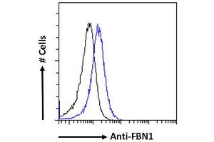ABIN570798 Flow cytometric analysis of paraformaldehyde fixed Jurkat cells (blue line), permeabilized with 0. (Fibrillin 1 Antikörper  (Internal Region))