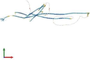 Protein Structure (PS) image for Ring Finger Protein 40, E3 Ubiquitin Protein Ligase (RNF40) (AA 1-1001) protein (His tag) (ABIN7563700)