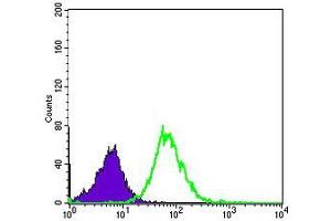 Flow Cytometry (FACS) image for anti-Matrix Metallopeptidase 1 (Interstitial Collagenase) (MMP1) antibody (ABIN969287)