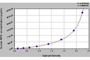 Typical Standard Curve (MPZ ELISA Kit)
