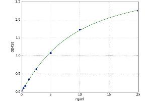 A typical standard curve