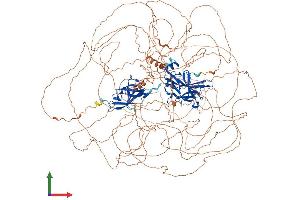 Protein Structure (PS) image for Nuclear Factor of Activated T-Cells 5, Tonicity-Responsive (NFAT5) (AA 1-1531) protein (His tag) (ABIN7554736)