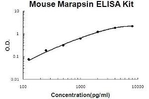 PRSS27 ELISA Kit