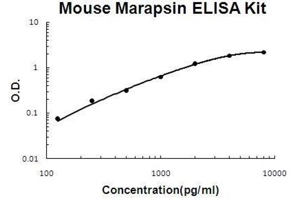 PRSS27 ELISA Kit