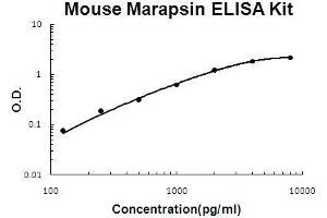 Mouse Marapsin/Pancresin PicoKine ELISA Kit standard curve (PRSS27 ELISA Kit)