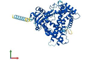 AlphaFold protein structure predicition of Mouse Recombinant Cyp2a12 Protein, UniprotID P56593