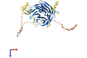DCAF12L1 Protein (AA 1-501) (His tag)