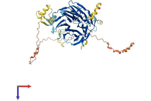 DCAF12L1 Protein (AA 1-501) (His tag)