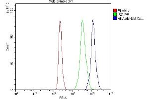 Flow Cytometry analysis of HL-60 cells using anti-RNASEH2B antibody (ABIN7601572).