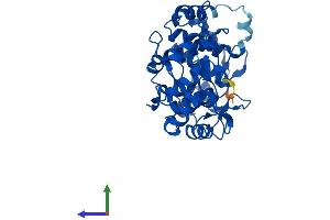 Protein Structure (PS) image for Rab Geranylgeranyltransferase, beta Subunit (RABGGTB) (AA 1-339) protein (His tag) (ABIN7563434)
