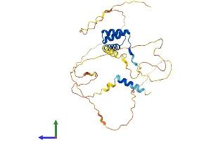 Protein Structure (PS) image for ALX Homeobox 1 (ALX1) (AA 1-326) protein (His tag) (ABIN7552049)