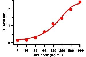 ELISA Validation with SARS-CoV-2 (COVID-19) Spike RBD Recombinant ProteinAntibodies: SARS-CoV-2 (COVID-19) Spike RBD antibody, ABIN6952968 (1 μg/mL). (SARS-CoV-2 Spike Antikörper  (RBD))
