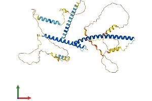 Protein Structure (PS) image for Transcription Factor EB (TFEB) (AA 1-476) protein (His tag) (ABIN7555749)