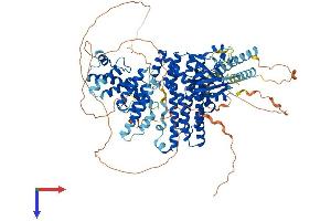 ARHGEF1 Protein (AA 1-912) (His tag)