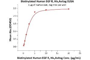 ELISA image for Epidermal Growth Factor Receptor (EGFR) (AA 25-645) (Active) protein (His tag,AVI tag,Biotin) (ABIN5674594)