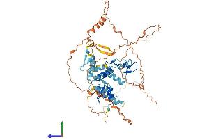 AlphaFold protein structure predicition of Human Recombinant ZSCAN5A Protein, UniprotID Q9BUG6