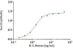 IL-2, Human stimulates cell proliferation of CTLL-2 cells. (IL-2 Protein (AA 21-153))
