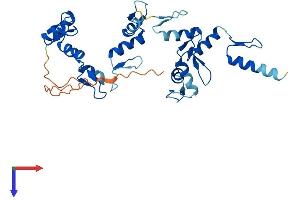 AlphaFold protein structure predicition of Human Recombinant ZNF660 Protein, UniprotID Q6AZW8