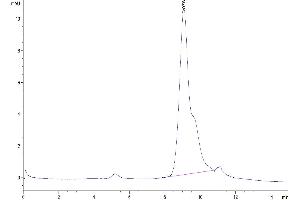The purity of Biotinylated Human BCMA is greater than 95 % as determined by SEC-HPLC.
