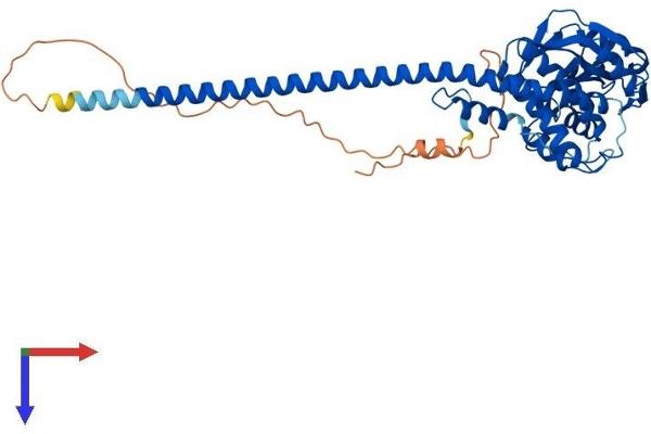 STAMBPL1 Protein (AA 1-436) (His tag)