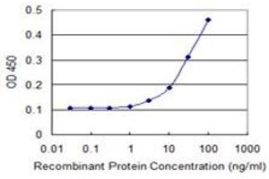 Detection limit for recombinant GST tagged MSH2 is 1 ng/ml as a capture antibody. (MSH2 Antikörper  (AA 835-934))