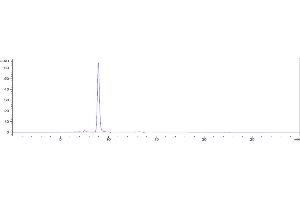 The purity of Anti-TIGIT Reference Antibody (etigilimab) is 95. (Rekombinanter TIGIT (Etigilimab Biosimilar) Antikörper)