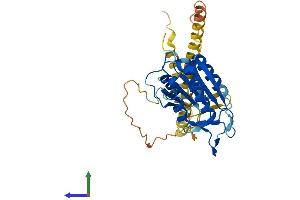 Protein Structure (PS) image for Caspase 12 (Gene/pseudogene) (CASP12) (AA 1-341) protein (His tag) (ABIN7553032)