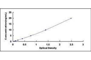 Typical standard curve (Caspase 9 ELISA Kit)