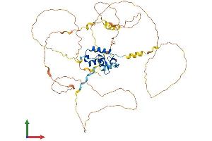 Protein Structure (PS) image for Forkhead Box C2 (MFH-1, Mesenchyme Forkhead 1) (FOXC2) (AA 1-501) protein (His tag) (ABIN7547777)