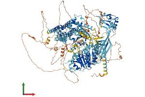 Protein Structure (PS) image for Strawberry Notch Homolog 1 (SBNO1) (AA 1-1390) protein (His tag) (ABIN7564003)
